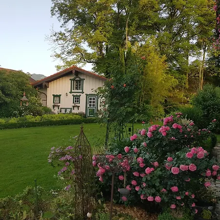 Apartment Steinmeier